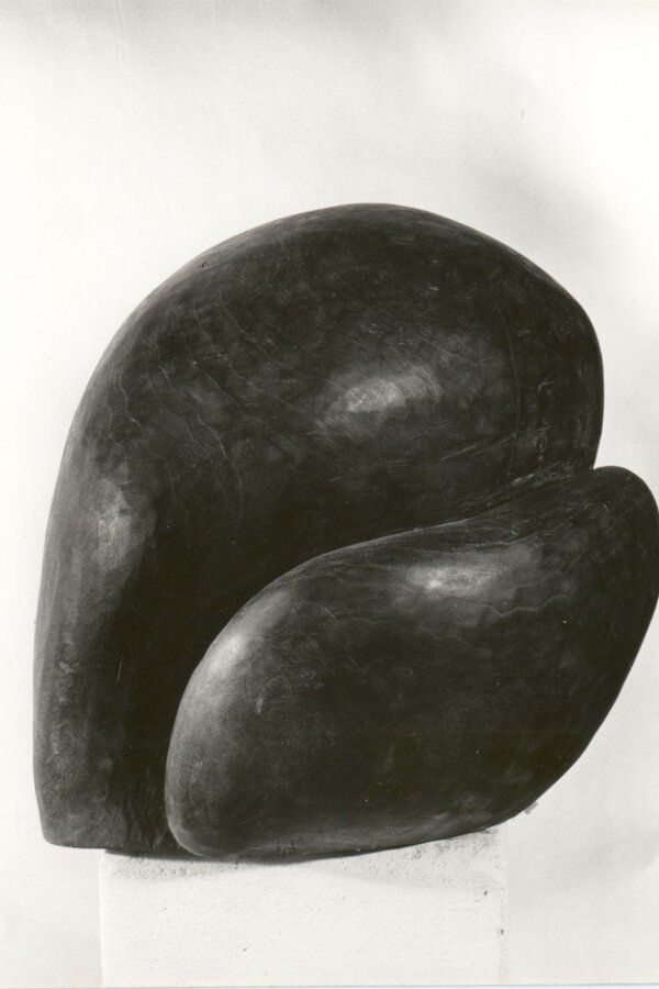 Zdeněk Macháček, Pratvar, 1988, foto: Josef Tichý, A. Fiap